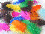 Feather