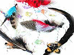 Feather